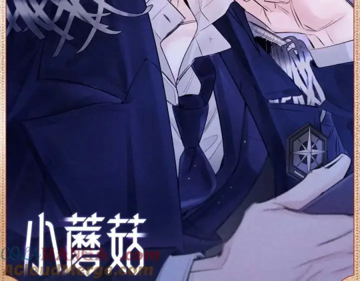 《小蘑菇》夜语温光图2