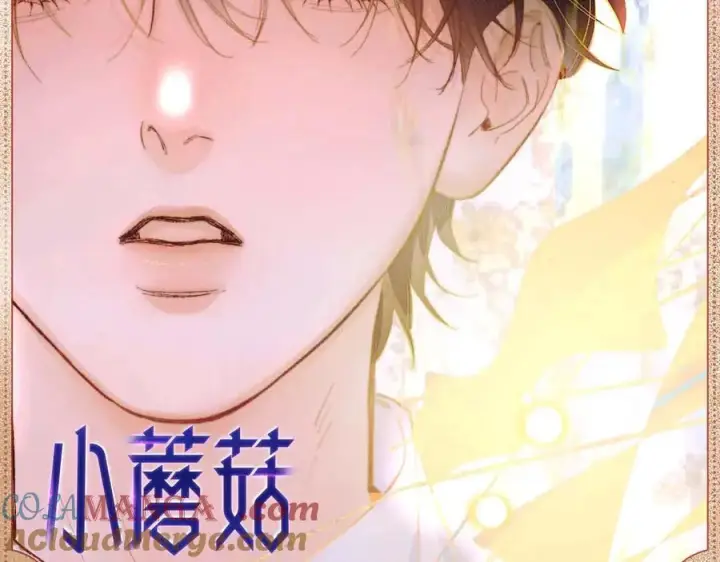 《小蘑菇》光影诗篇图2