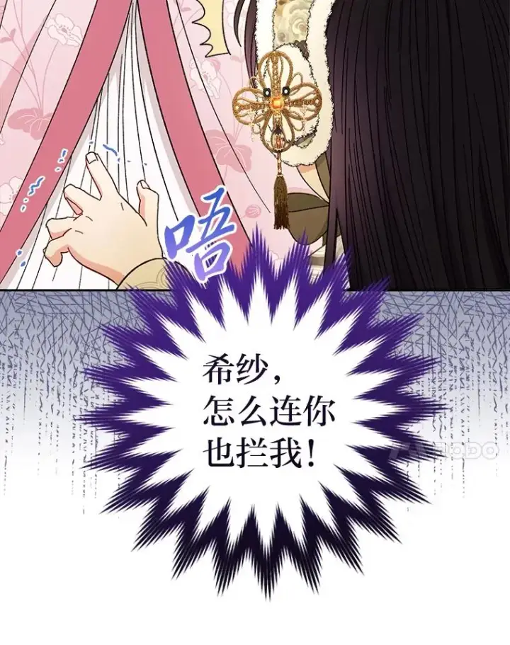 《小嫔妃想要安安静静地生活》10.卖萌失败拆礼物图38