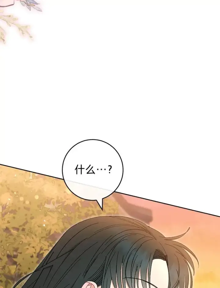 《小嫔妃想要安安静静地生活》12.哄睡小嫔妃图47