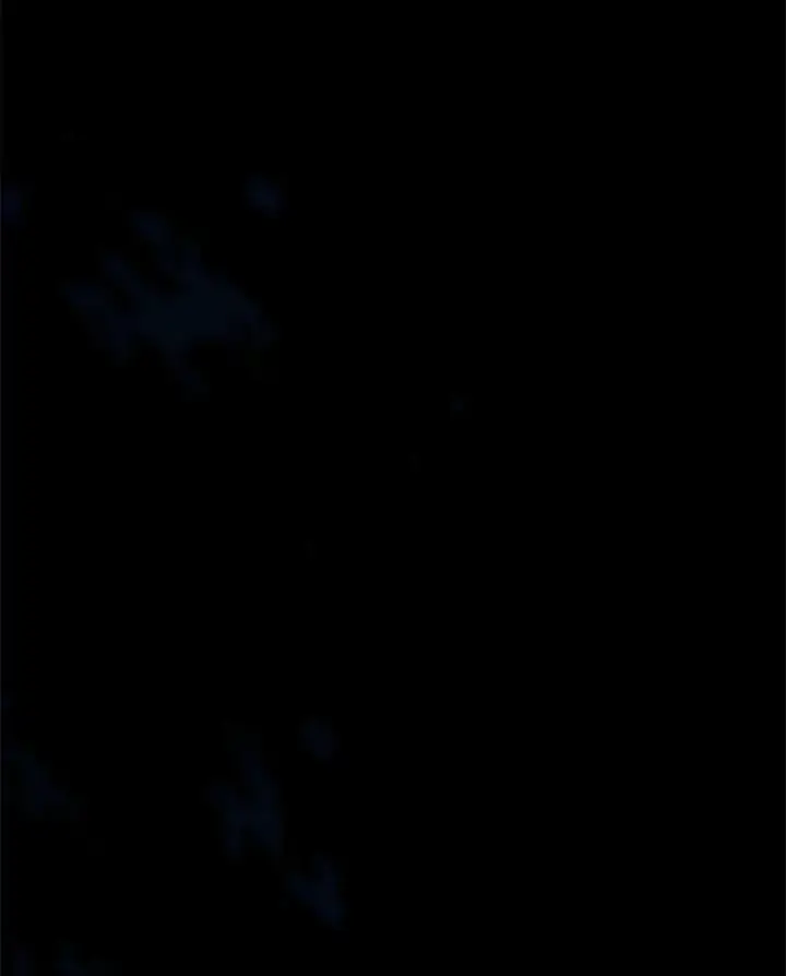 《小嫔妃想要安安静静地生活》13.水中求生图78
