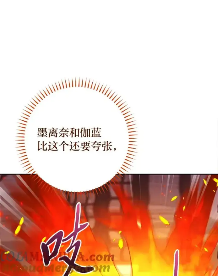 《小嫔妃想要安安静静地生活》20.游手好闲的日常图81