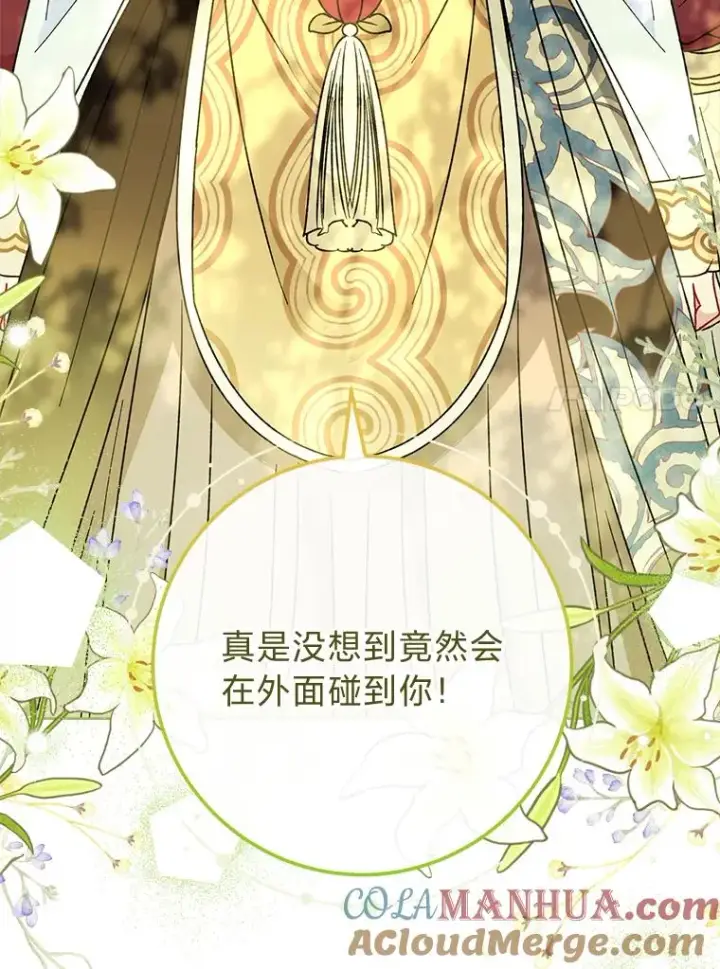 《小嫔妃想要安安静静地生活》24.小殿下的传说图133