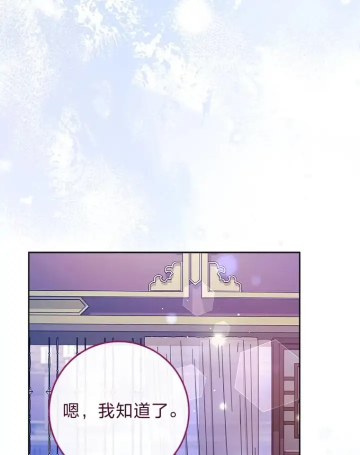 《小嫔妃想要安安静静地生活》24.小殿下的传说图28