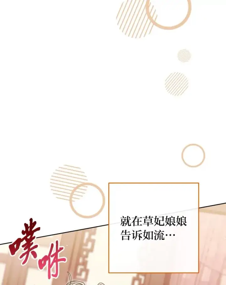 《小嫔妃想要安安静静地生活》24.小殿下的传说图34