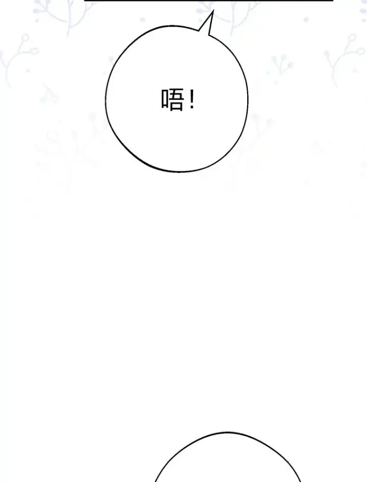 《小嫔妃想要安安静静地生活》29.过度宠溺图32