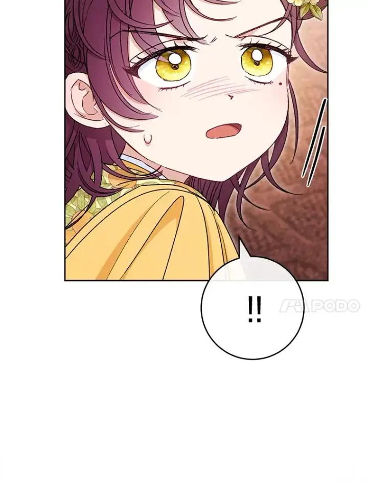 《小嫔妃想要安安静静地生活》34.骄傲的花妃图31