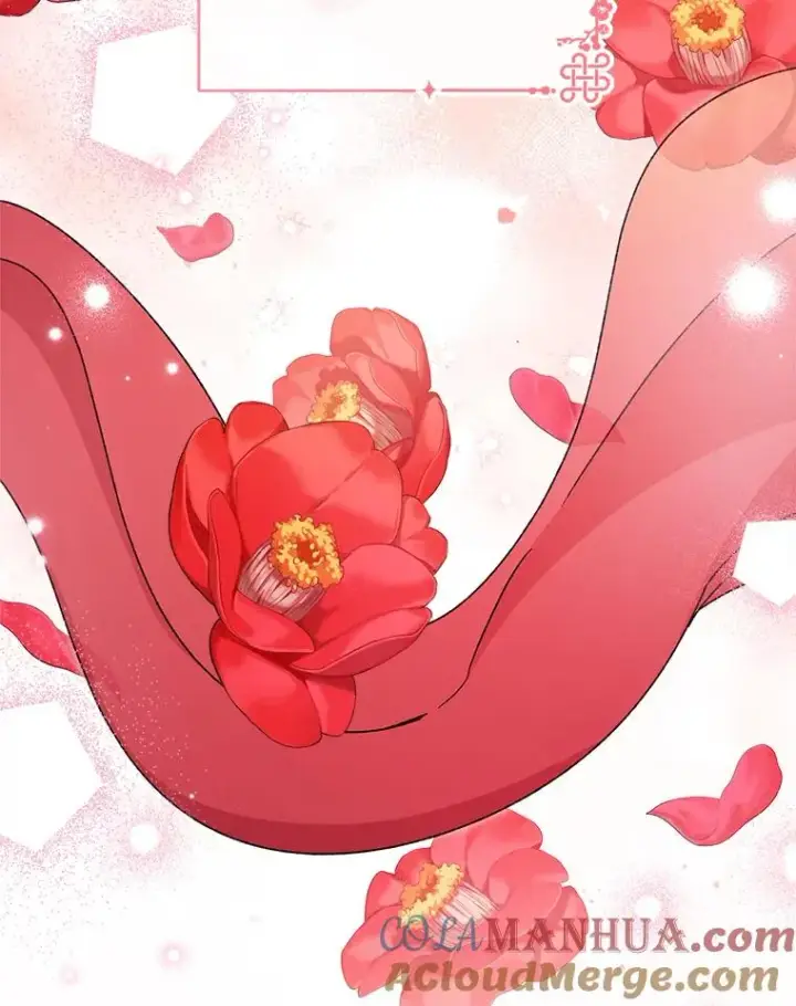 《小嫔妃想要安安静静地生活》34.骄傲的花妃图73