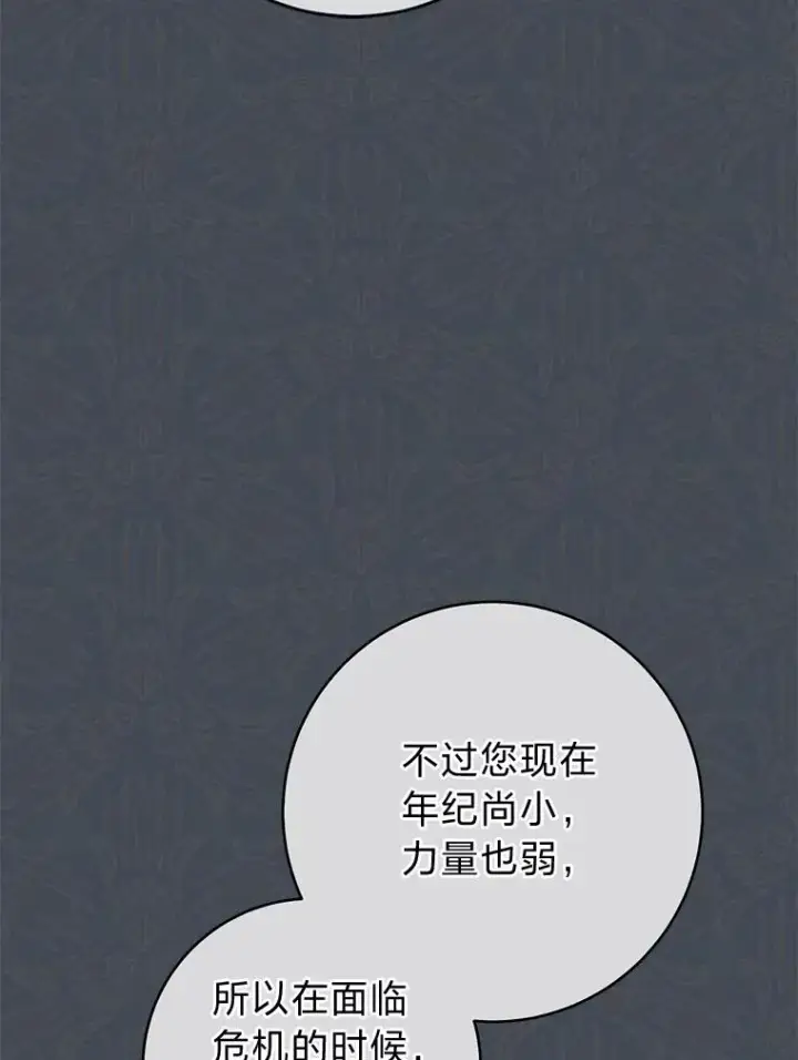 《小嫔妃想要安安静静地生活》37.父亲的威压图99
