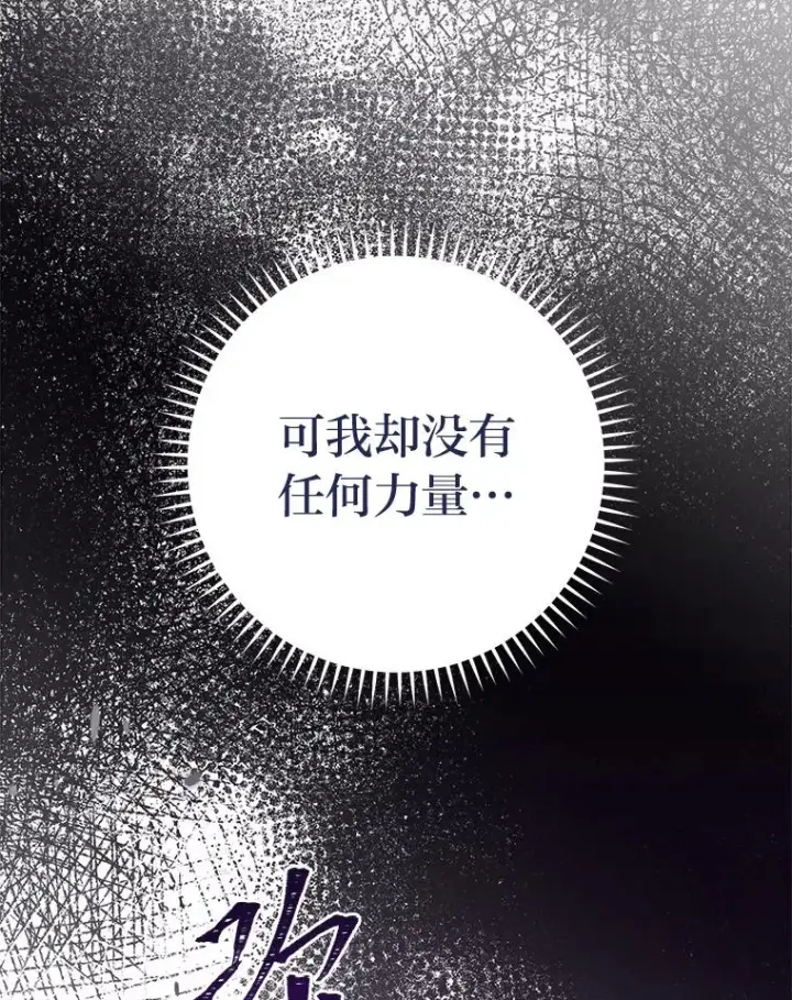 《小嫔妃想要安安静静地生活》40.外冷内热的花妃图100