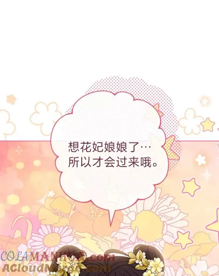 《小嫔妃想要安安静静地生活》40.外冷内热的花妃图33
