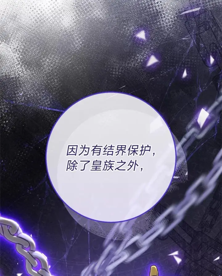 《小嫔妃想要安安静静地生活》40.外冷内热的花妃图46