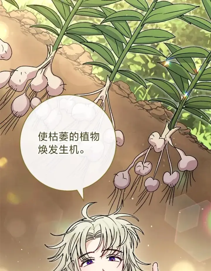 《小嫔妃想要安安静静地生活》44.阿霞的另一面图31