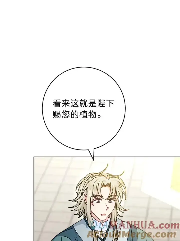 《小嫔妃想要安安静静地生活》44.阿霞的另一面图49