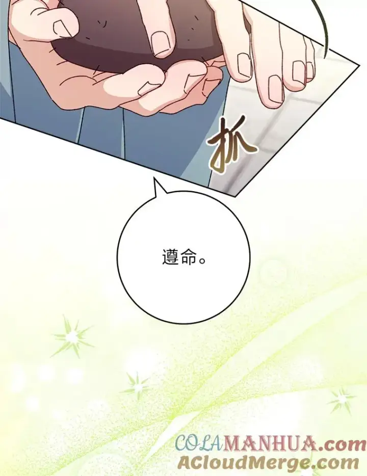 《小嫔妃想要安安静静地生活》44.阿霞的另一面图53