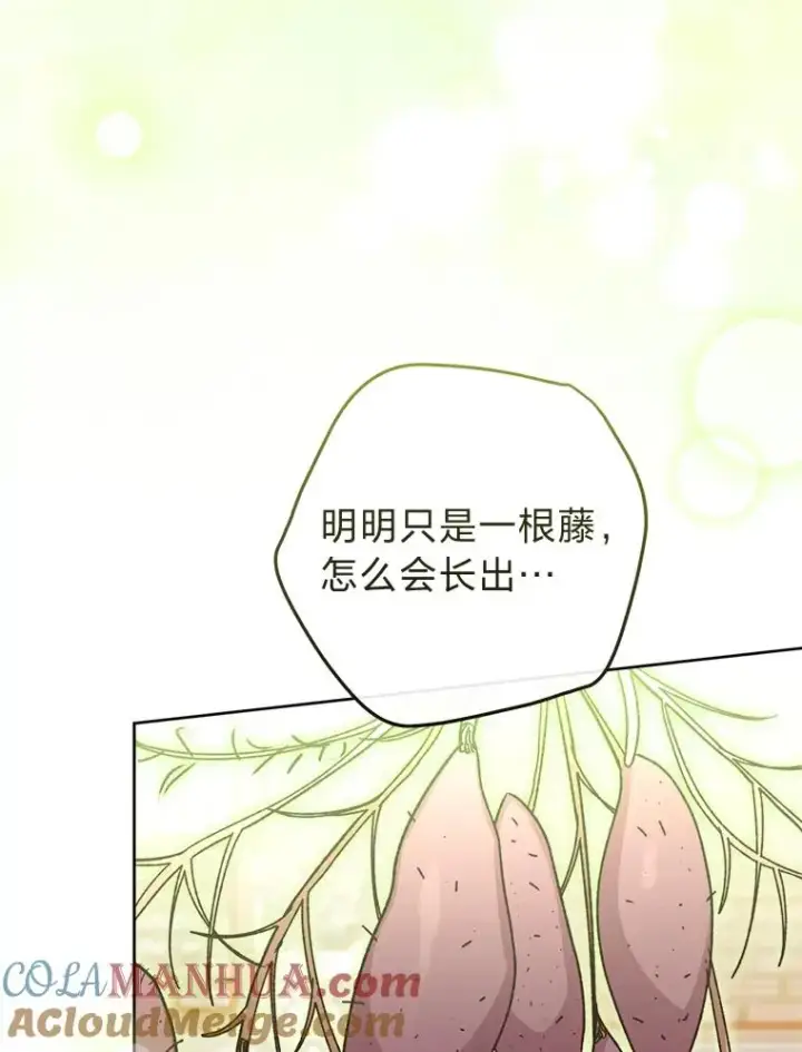 《小嫔妃想要安安静静地生活》44.阿霞的另一面图73