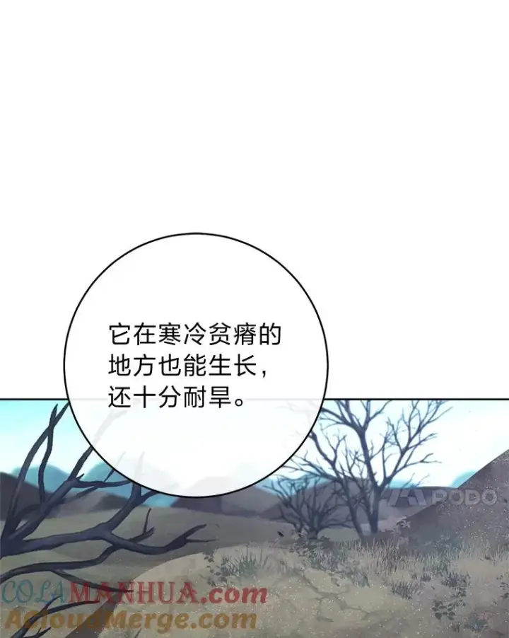 《小嫔妃想要安安静静地生活》44.阿霞的另一面图77