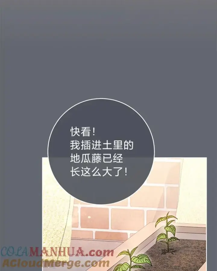 《小嫔妃想要安安静静地生活》44.阿霞的另一面图85