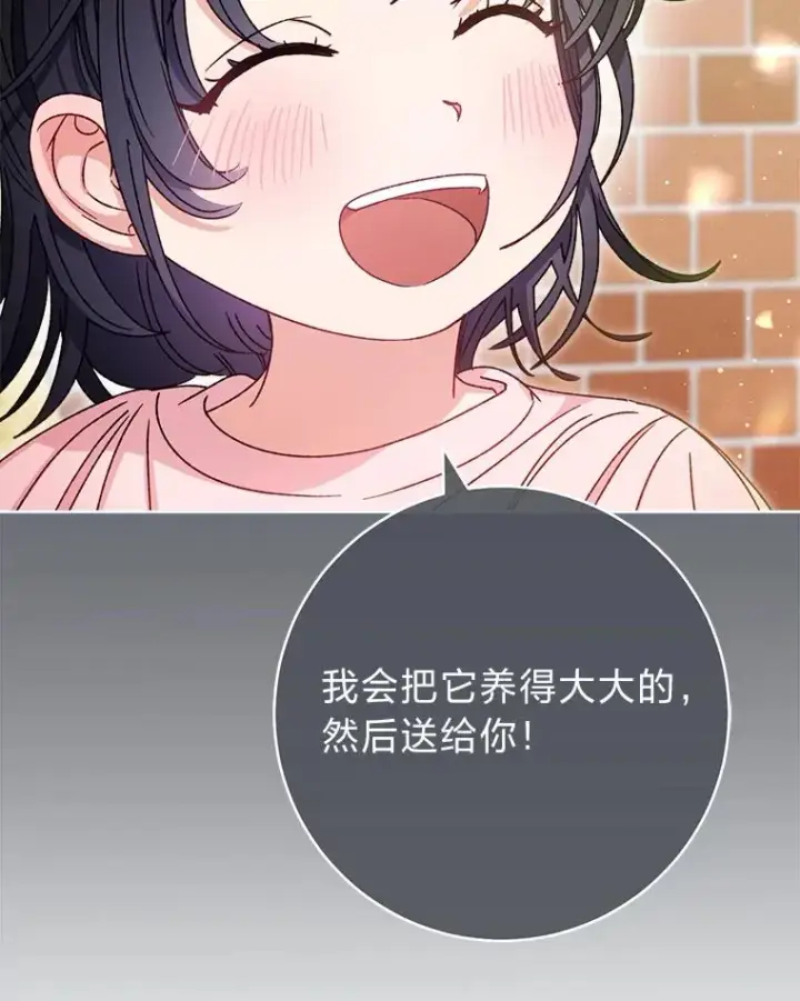 《小嫔妃想要安安静静地生活》44.阿霞的另一面图90