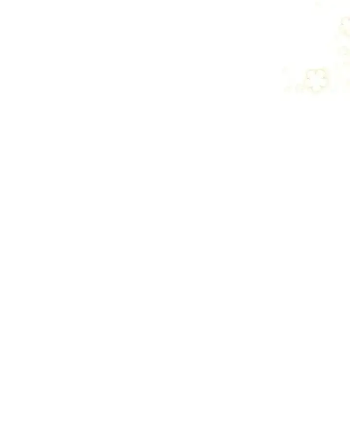 《小嫔妃想要安安静静地生活》45.投桃报李图78