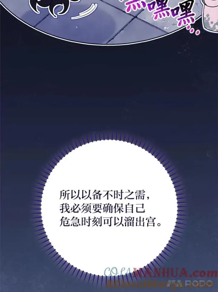 《小嫔妃想要安安静静地生活》4.萌化所有人图41