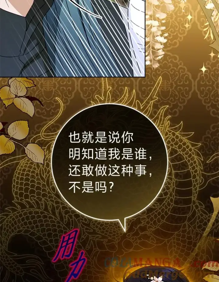 《小嫔妃想要安安静静地生活》51.空手套白狼图69