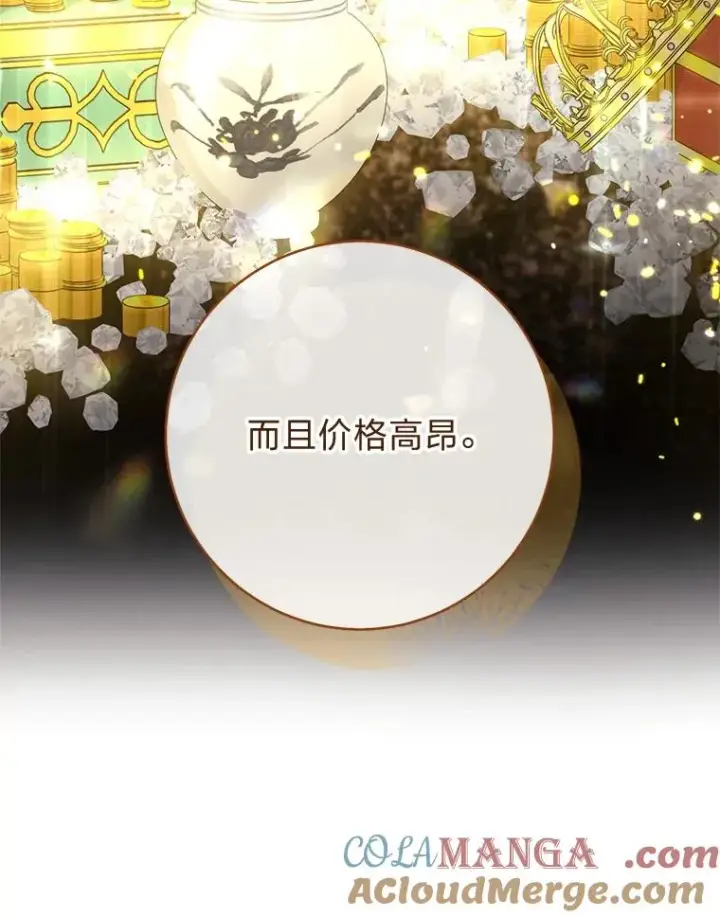 《小嫔妃想要安安静静地生活》57.宰相的野心图33