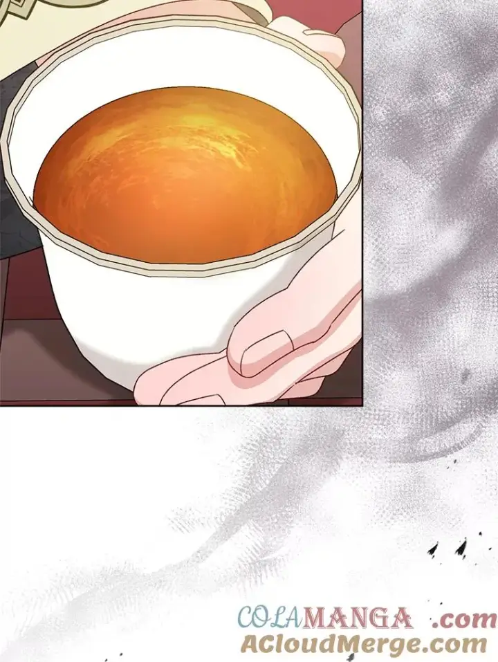 《小嫔妃想要安安静静地生活》58.爸宝难装图109