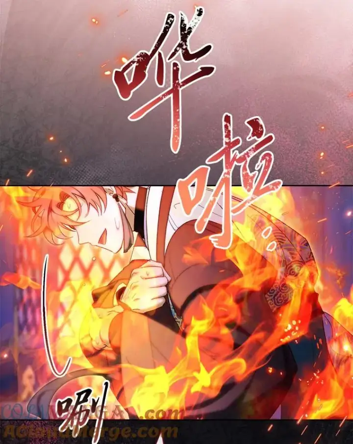 《小嫔妃想要安安静静地生活》75.所爱之人图33