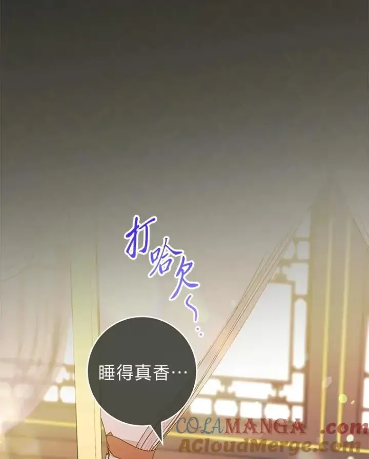 《小嫔妃想要安安静静地生活》77.断线纸鸢图21