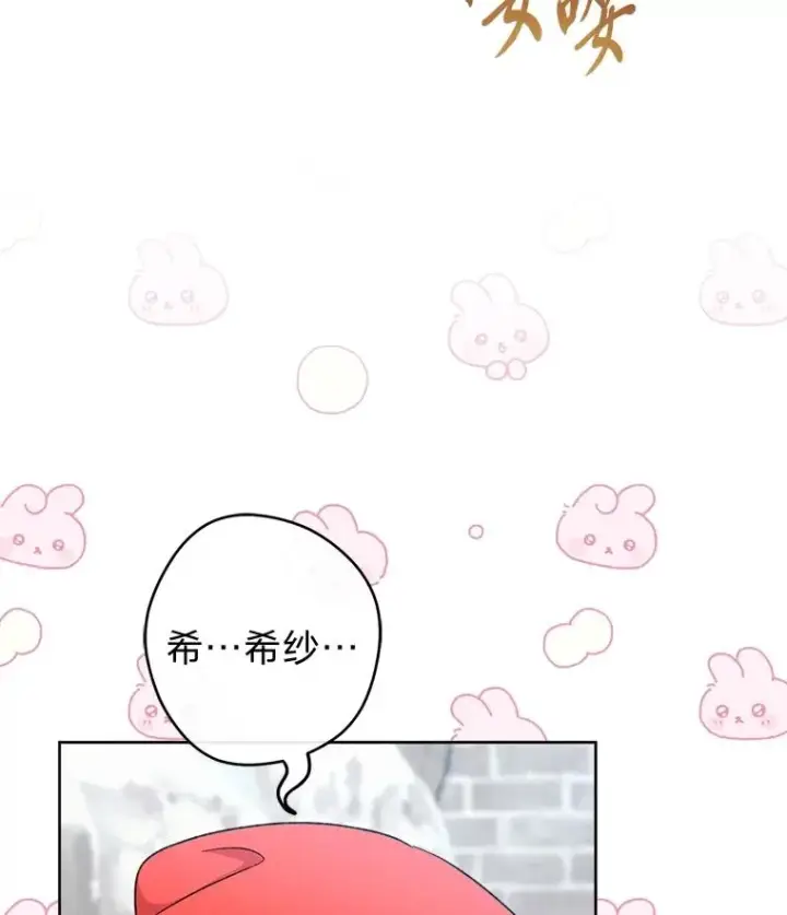 《小嫔妃想要安安静静地生活》82.小殿下来了图24