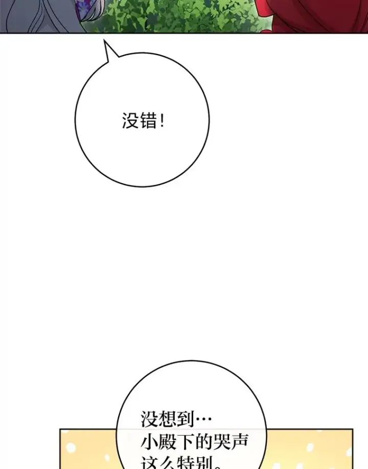 《小嫔妃想要安安静静地生活》82.小殿下来了图31