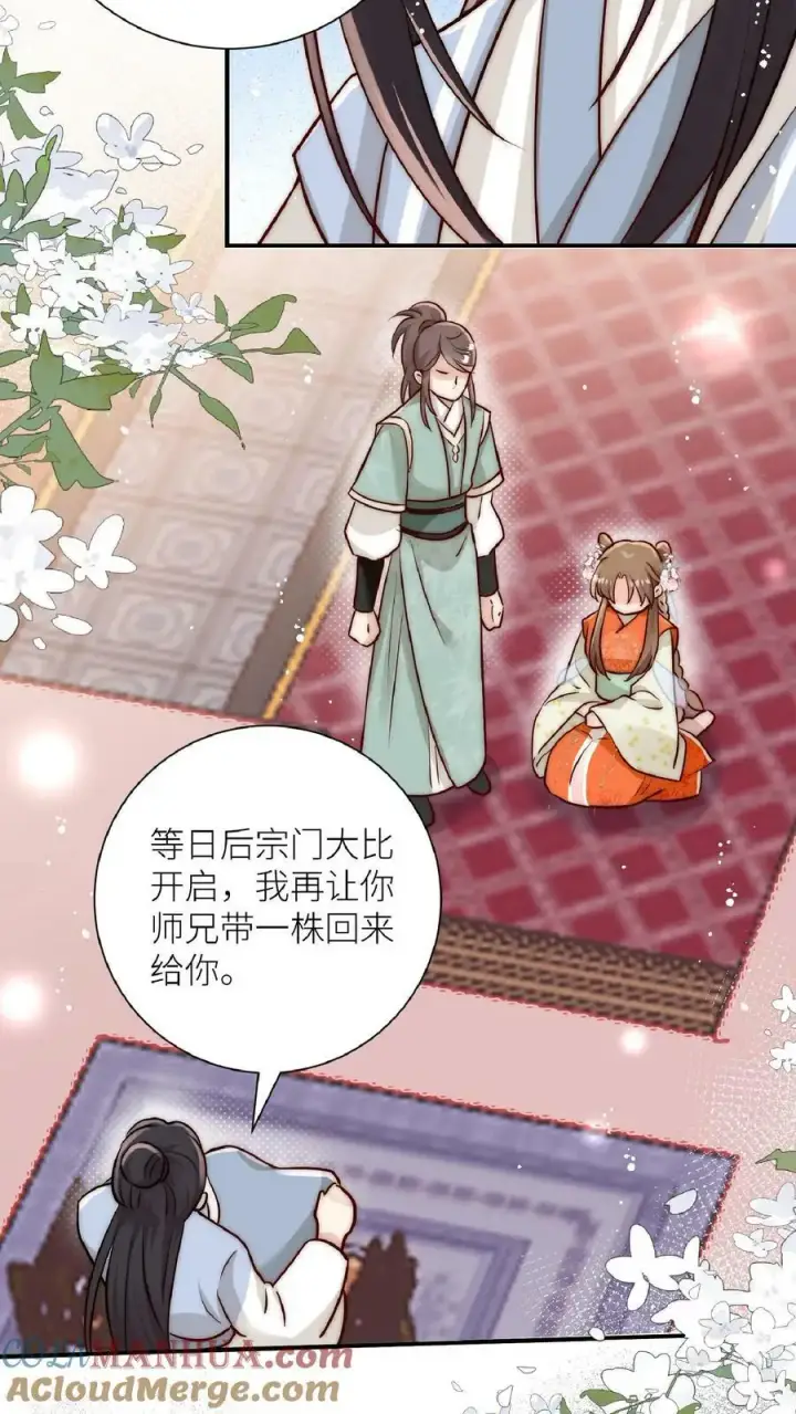 《小师妹明明超强却过分沙雕》第1话 穿书炮灰今天开始摆烂了图13