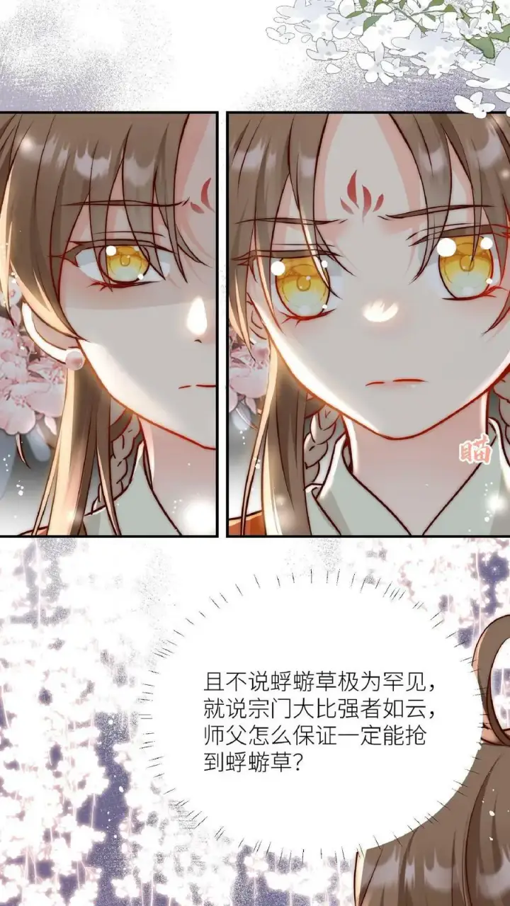 《小师妹明明超强却过分沙雕》第1话 穿书炮灰今天开始摆烂了图14