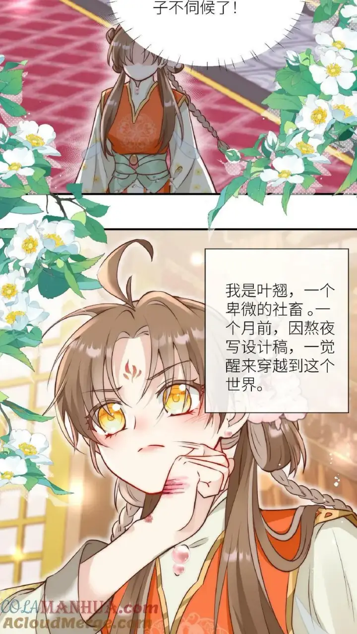 《小师妹明明超强却过分沙雕》第1话 穿书炮灰今天开始摆烂了图37