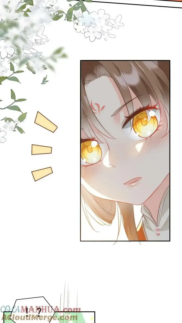 《小师妹明明超强却过分沙雕》第2话 只有我受伤的世界图37