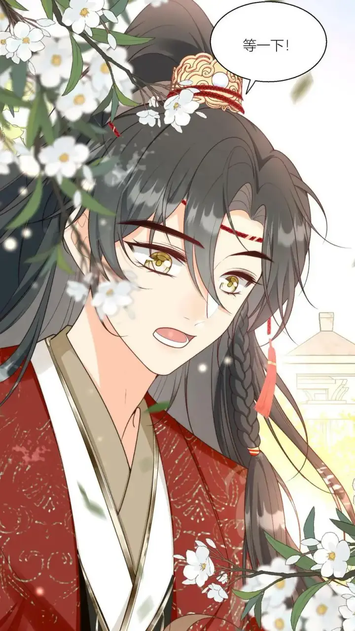 《小师妹明明超强却过分沙雕》第6话 人不要脸天下无敌图16