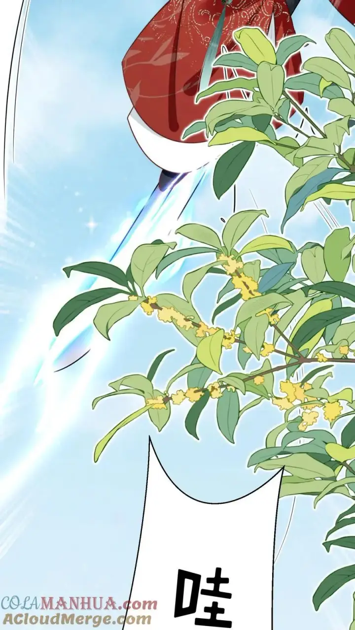 《小师妹明明超强却过分沙雕》第50话 二三CP已拆，三四CP出道图19