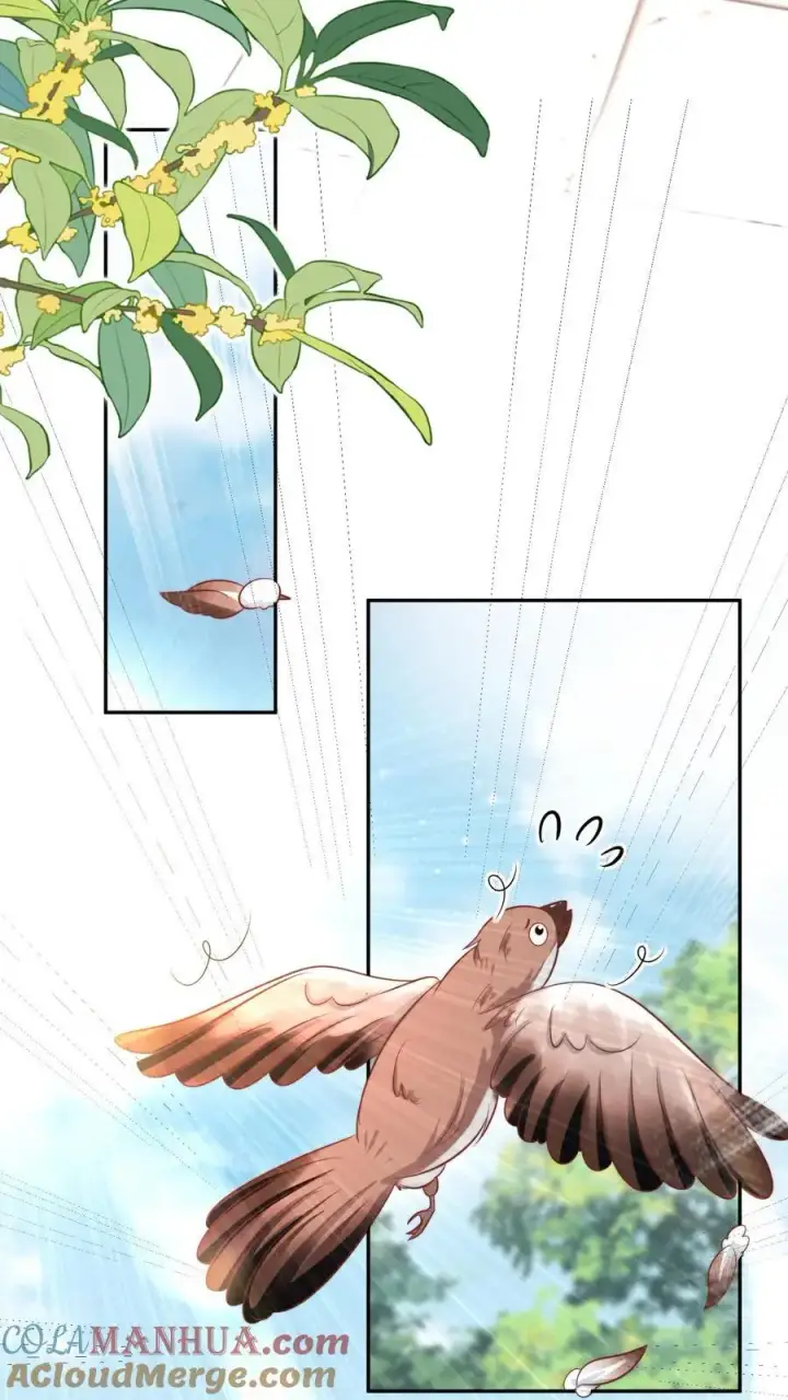 《小师妹明明超强却过分沙雕》第50话 二三CP已拆，三四CP出道图7