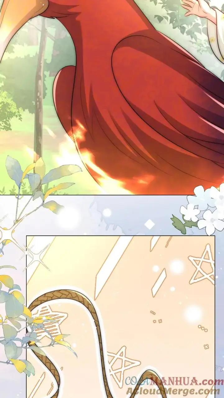 《小师妹明明超强却过分沙雕》第56话 卖妖兽的可持续发展计划图11