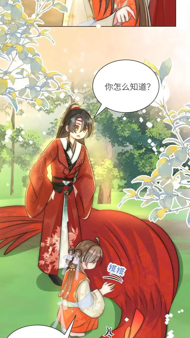 《小师妹明明超强却过分沙雕》第56话 卖妖兽的可持续发展计划图20