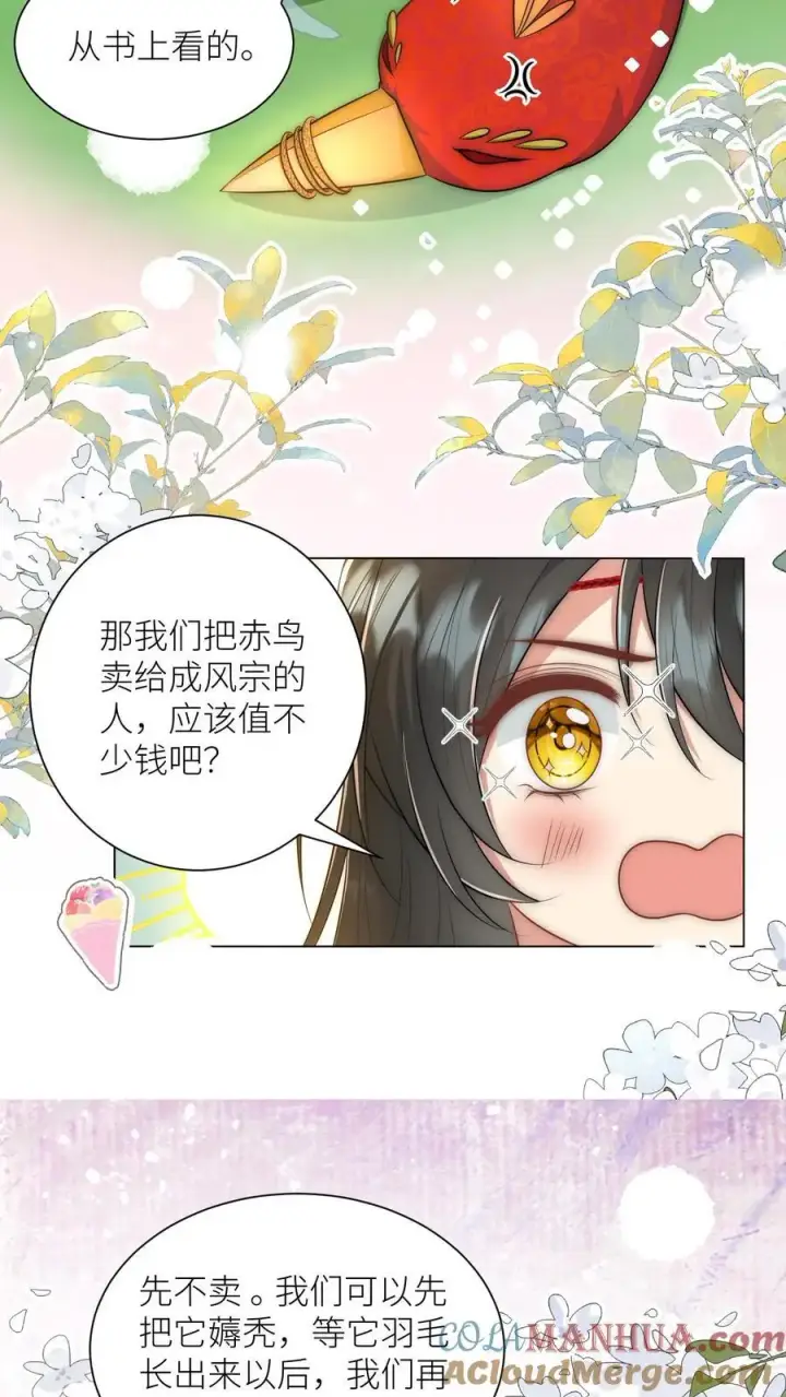 《小师妹明明超强却过分沙雕》第56话 卖妖兽的可持续发展计划图21