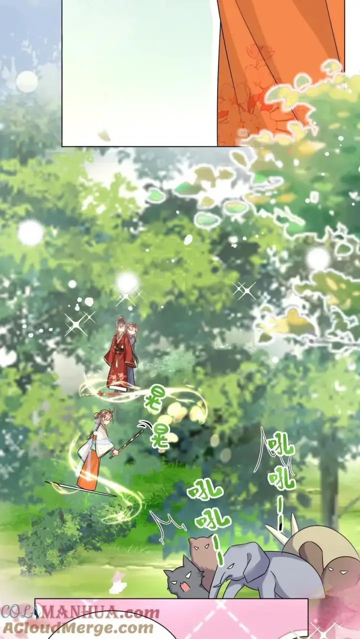 《小师妹明明超强却过分沙雕》第63话 从未被如此坚定地追求过图15