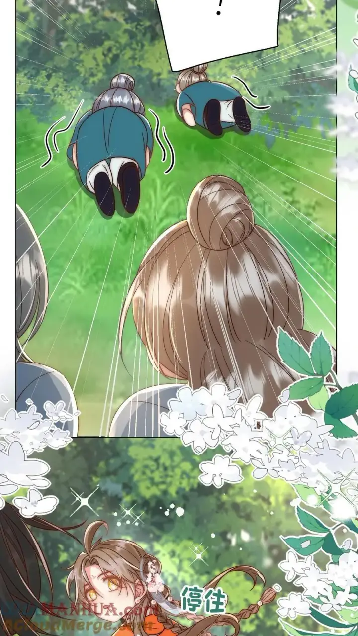 《小师妹明明超强却过分沙雕》第63话 从未被如此坚定地追求过图5