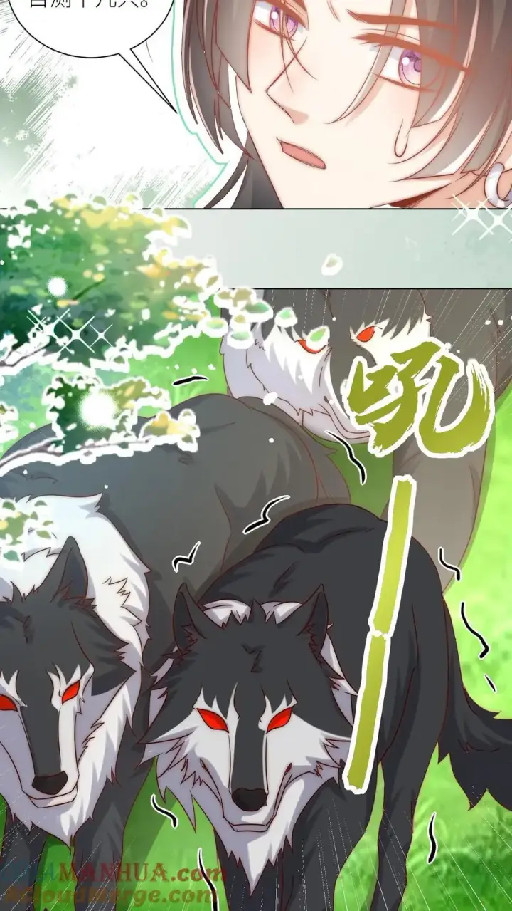 《小师妹明明超强却过分沙雕》第63话 从未被如此坚定地追求过图9