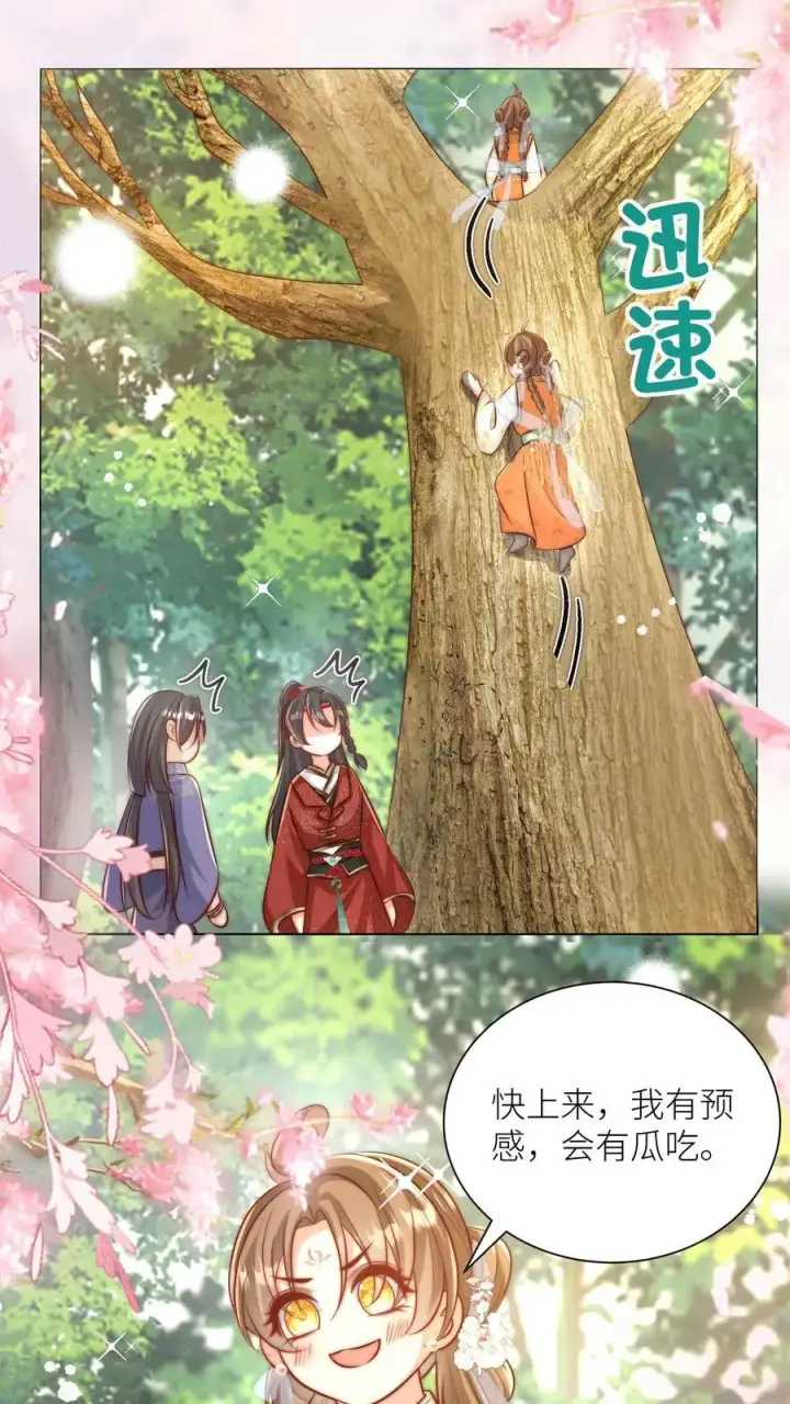 《小师妹明明超强却过分沙雕》第64话 快上树，一起吃瓜啦！图16