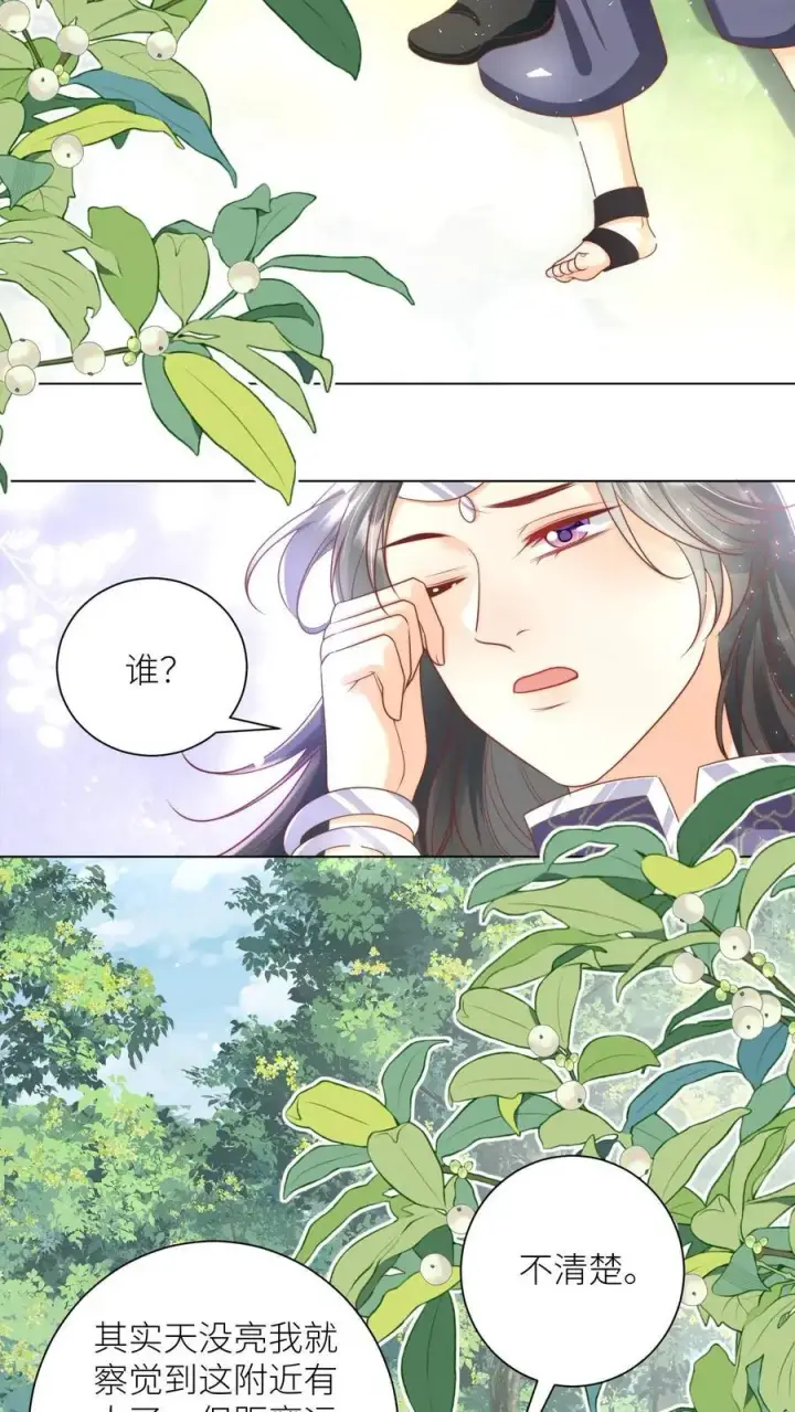 《小师妹明明超强却过分沙雕》第66话 好、好绿的宗门啊！图4