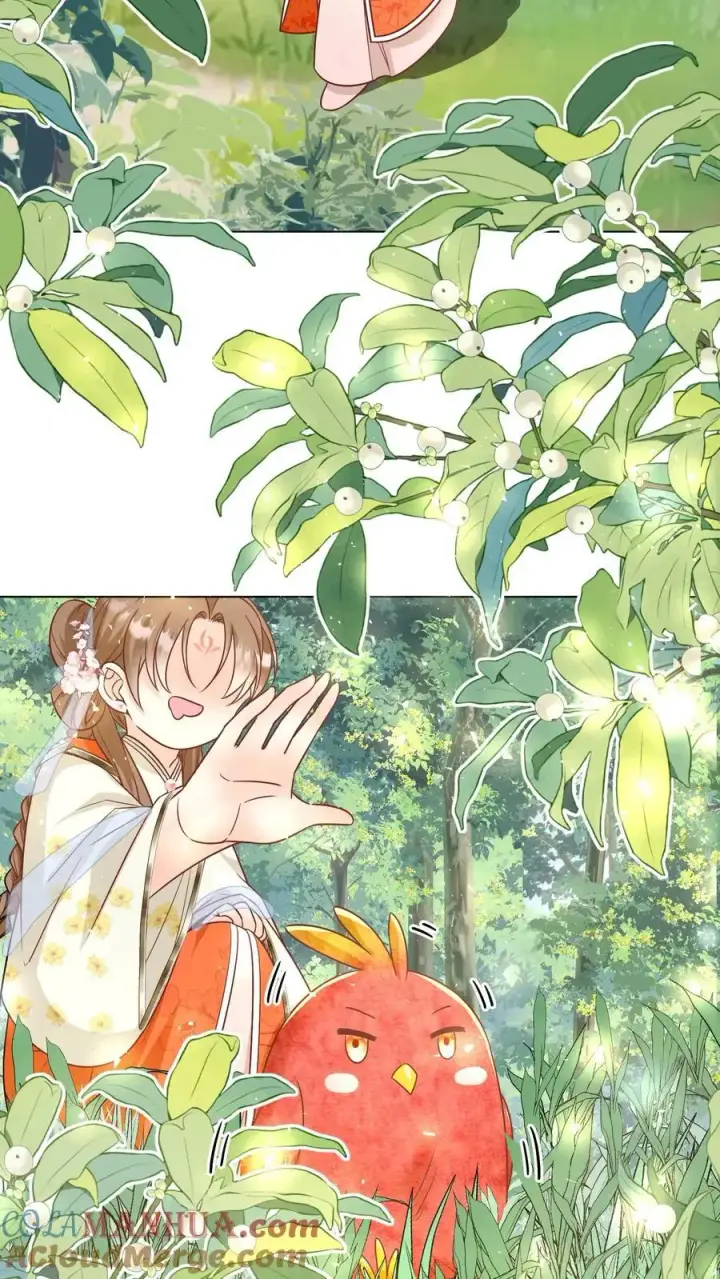 《小师妹明明超强却过分沙雕》第69话 晚餐烤火鸡预定图17