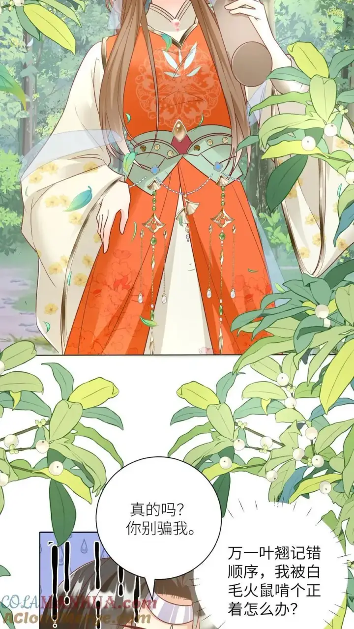 《小师妹明明超强却过分沙雕》第69话 晚餐烤火鸡预定图3
