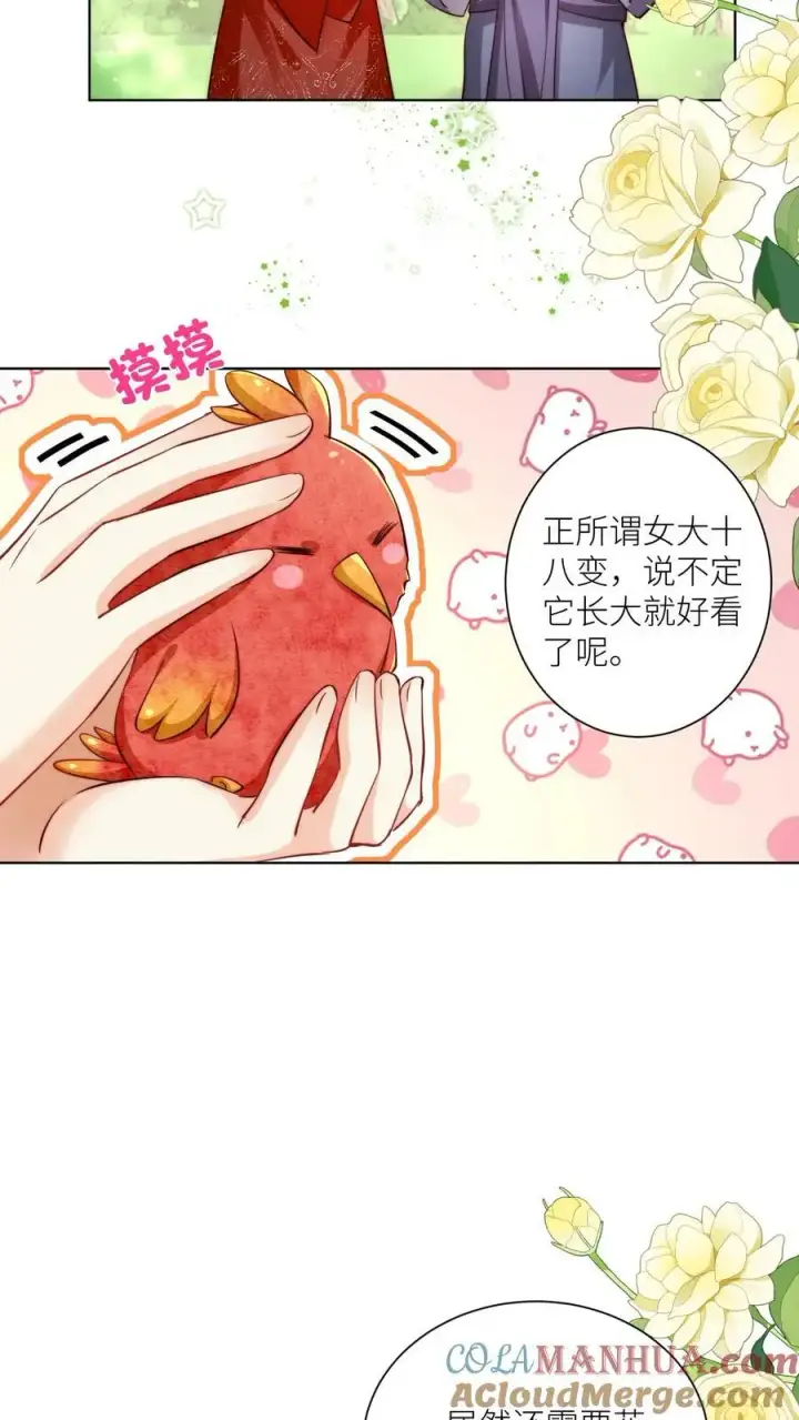 《小师妹明明超强却过分沙雕》第70话 鸡要养肥了再吃！图17